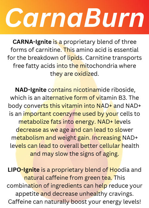 CarnaBurn Capsules 120 count