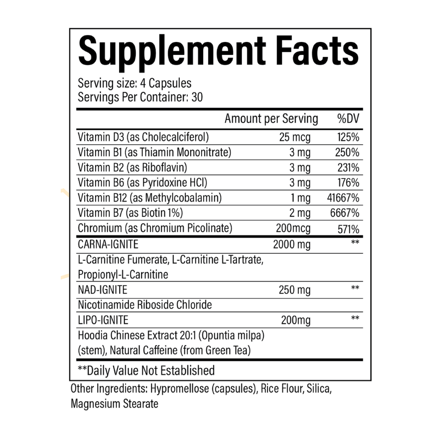 CarnaBurn Sample Pack